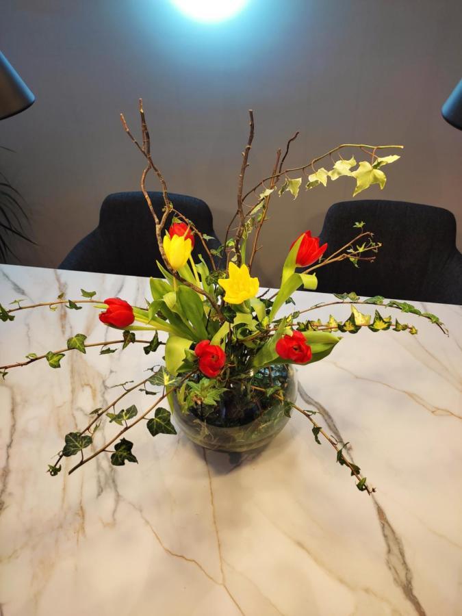 Nino Luxury Apartment Zagreb Ngoại thất bức ảnh